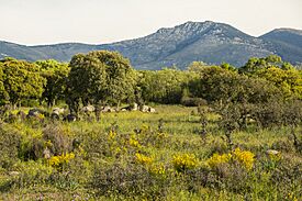 May 2- Day 1 - New freedom.jpg