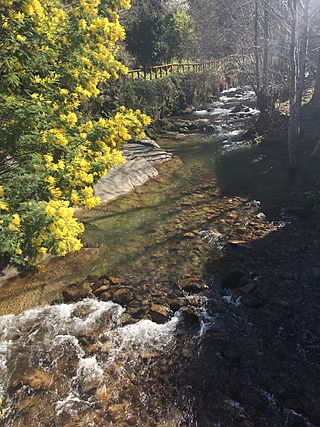 Melgaço (25615349587).jpg