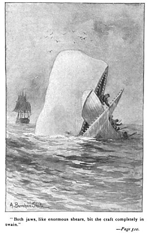 Archivo:Moby Dick p510 illustration