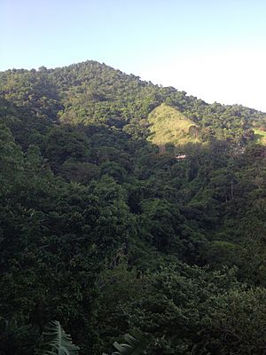 Archivo:Montaña de Guayama