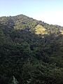 Montaña de Guayama
