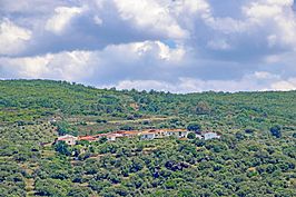 Molinillo para Niños