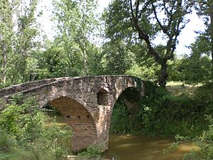 Archivo:Pont romànic de Sant Martí d'Albars (juny 2011) - panoramio