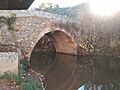 Puente Tavizna