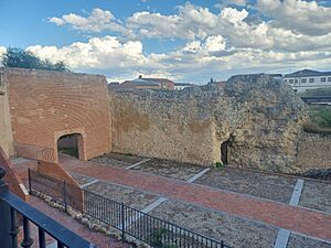 Archivo:Restos del castillo de Alaejos