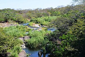 Archivo:Rio Tamarindo