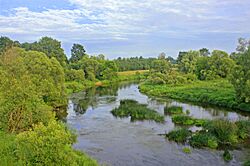 River debna1.jpg