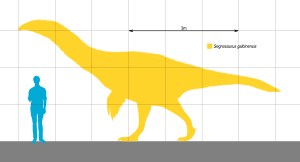 Archivo:Segnosaurus Scale