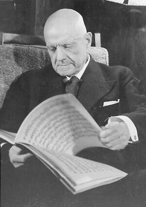 Archivo:Sibelius with notes