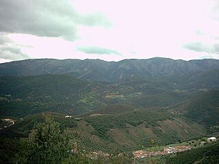 SierraMadronaRehoyos3.jpg