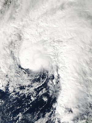 Archivo:Tropical Storm Ida