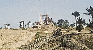 Archivo:Tunis1960-150 hg