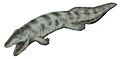 Ventastega life restoration white background