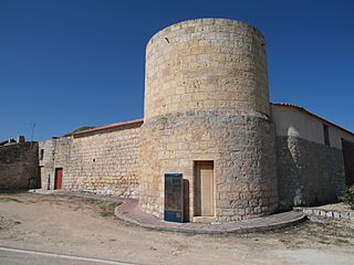 VillalbaDeLosAlcores20100114222202SAM 2324.jpg