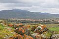 Villanova Truschedu - Panorama (01)