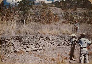 Archivo:Wall inside a mound Palo Blanco