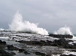 Archivo:Waves crashing