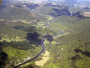 Archivo:Whanganui River Aerial Photo