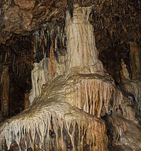 "La Cascada" de la Cueva de los Enebralejos.jpg