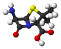 6-aminopenicillanic-acid-3D-balls.png