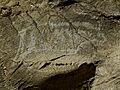 Altxerri Cave Ibex