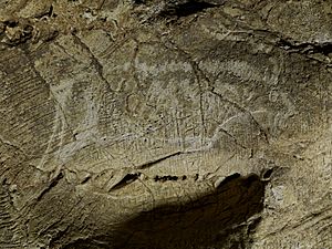 Archivo:Altxerri Cave Ibex