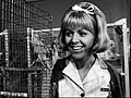 Arlene Golonka Mayberry RFD 1969