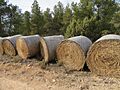Balas de paja para alimentar el ganado (Aguaviva, Teruel)