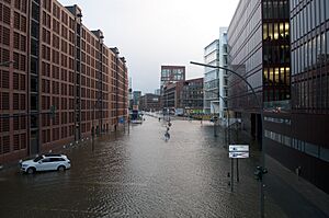 Archivo:Bodil xaver hamburg 2013 0001