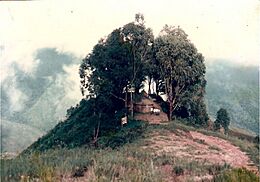 Archivo:Campamento ecológico de Imparques sector Trincherón Venezuela