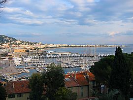 Cannes Overview.jpeg