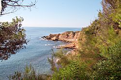 Carry-le-Rouet 20081010 16.jpg