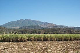 Ceboruco panoramica.jpg