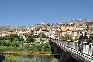 Cerezo del Rio Tiron - 002.jpg