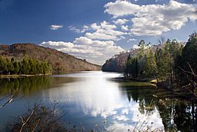 Clinch River at winter - panoramio.jpg