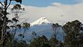 Cotopaxi desde Parque Metropolitano Guangüiltagua