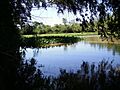 Deltadelparaná