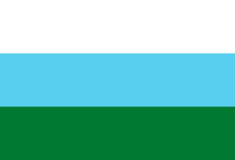 Flag of Vacas, Bolivia