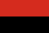 Flag of Villa Montes, Bolivia.svg
