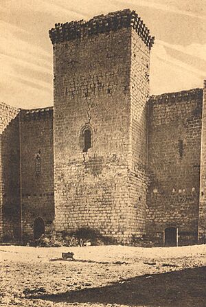 Archivo:Fundación Joaquín Díaz - Castillo - Villalba de los Alcores (Valladolid)
