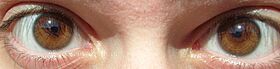 Archivo:Hazel eyes S7307583