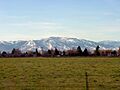 Heyburn Idaho Looking South