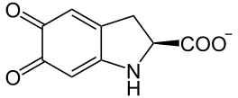 L-Dopachrom