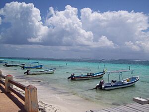 Archivo:Lanchas de Pto.Morelos
