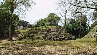 Naachtun site mayan.jpg
