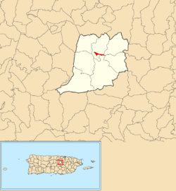 Naranjito barrio-pueblo, Naranjito, Puerto Rico locator map.png