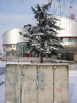 Archivo:Piece of Berlin Wall in front of the European Court of Human Rights, Strasbourg