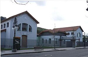Archivo:Pinacoteca