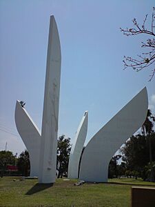Platanos1