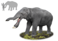 Platybelodon